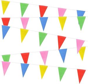 Banderines Decorativos Triangulares Coloridos para Festivales, de Diferentes Tamaños, Precio de Fábrica, Venta al Por Mayor - Product Image 3