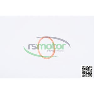 Anillo de sellado Jenbacher para piezas de motor de maquinaria - Product Image 3