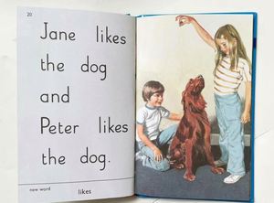 36 piezas/juego de libros Ladybird Key Words con Peter Jane, libros ilustrados para aprender inglés - Product Image 4