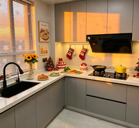 Meubles de cuisine modulaires BALOM, armoires de cuisine modernes à panneaux plats, peintes sur mesure, ensemble de meubles de cuisine pour projet complet de maison, design 3D
