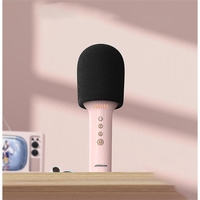 Microphone de karaoké sans fil à main BT pour le divertissement