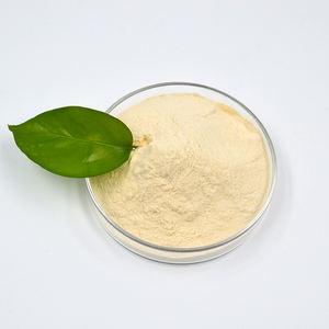 Retardateur 200 P pour les liants à base de gypse au sulfate de calcium pour les pansements auto-nivelants - Product Image 4