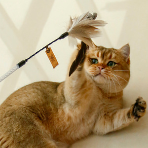 Kitta Baguette d'agitation pour chat à plumes, avec clochette, à manche allongé, multi-plumes, couleur naturelle, pratique, baguette de fée, jouet pour chat, vente en gros - Product Image 2