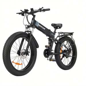 Última tendencia 70-80 Nm señoras Ebike bicicleta de montaña más cara bicicleta de montaña eléctrica montaña nieve bicicleta eléctrica precio - Product Image 1