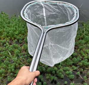 Épuisette de pêche économique en maille d'acier inoxydable ultra-résistante et épaissie pour la capture de gros poissons - Product Image 3