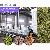 Ligne de production complète de granulés de sciure de bois CLASSY, machine à granulés de coques de riz, de paille et de déchets de palmier, fournisseur d'usine