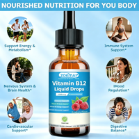 Gouttes liquides de Vitamine B12 OEM 5000 mcg Méthylcobalamine avec B1, B3, B6, Folate, Niacine pour l'énergie et le cerveau