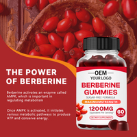 Gomitas de Berberina OEM/ODM Sin Azúcar, Apoyo al Sistema Inmunológico, Estimulación del Metabolismo, Gomitas de Berberina al por Mayor