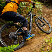 Vélo électrique tout-terrain à suspension intégrale DJI Amflow PL Carbon Pro 800Wh à moteur central, vélo électrique DJI Aviox, vélo de montagne électrique