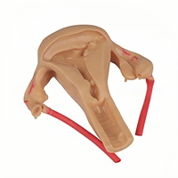 Modelo de Silicona 3D de Útero para Sutura y Disección Laparoscópica e Histeroscópica en Ginecología y Obstetricia