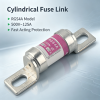 Fusible semi-conducteur haute vitesse RGS4B 690V 300A AR 50kA, fusible céramique à connexion par boulon IEC 60269-4 pour thyristor