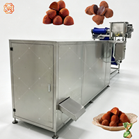 TUORONG Nouvelle machine automatique de recouvrement de poudre de chocolat pour truffes, multifonctionnelle et facile à utiliser, machine à truffes au chocolat
