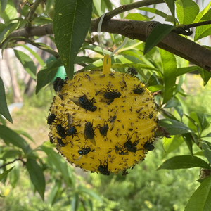 Outdoor Eco Friendly Yellow Sticky Ball Trap Fruit Fly Insect Catcher Garden <b>Pest</b> <b>Control</b> Reusable - Product Image 2