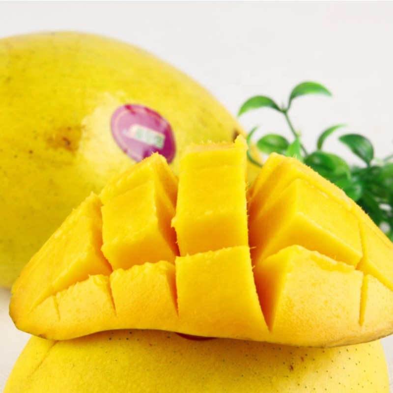 Хорошая цена, китайские замороженные продукты HACCP, оптовая продажа, IQF, замороженные фрукты, половинки, кости, манго