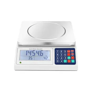 Fournisseur d'usine 1kg, 2kg, 5kg, 10kg, 20kg, 0.1g, calibrage du poids, balance électronique, balance avec écran lcd rs232