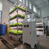 Système d'irrigation aéroponique automatique certifié Yinghui pour armoire intérieure, capacité de 120 plantes, garantie 1 an, avec rapport.