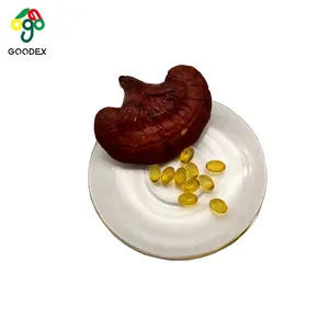 Ganoderma Lucidum Spore Oil Sofegel, Lingzhi Softgel, Reishi Softgel