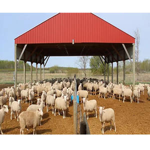 Abri pour animaux à Structure en acier à faible coût, modèles de hangar industriel préfabriqués - Product Image 2