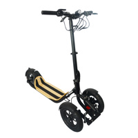 Güçlü 3-Wheel e-pil ile toptan 12-Inch elektrikli Scooter çin OEM taşınabilir dijital yetişkin elektrikli Scooter sıcak satış