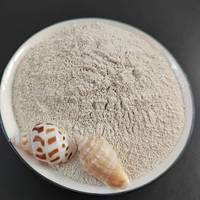 Ciment Blanc CHAOKUN en Gros 52.5R - Faible Teneur en Chlorure, Durcissement Extra Rapide, Garantie 5+ Ans, Livraison Rapide depuis la Chine