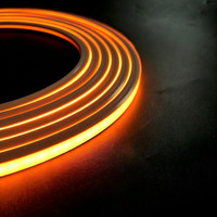 Bande lumineuse LED flexible bicolore 1800K*4000K modèle 1010A, étanche IP67