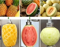 Ananas Schiller, Ontpitter, Verwerkings- en Snijmachine Leverancier