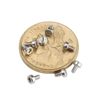 Mini vis pour montre à boucle, ceinture, 5mm, 1mm, 1.6mm, 2.5mm, Mini vis électronique, en acier inoxydable, m1.2 m1.4 m1.6 m2 m2.5 m3