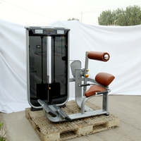 Machine d'extension dorsale VM-7002 à charge par poulie pour équipement de fitness, prix de gros