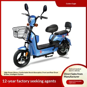 Bicicleta Eléctrica Personalizada de Fábrica TDT182Z de 14 Pulgadas, Scooter Urbano de 48V con Motor en el Buje Delantero, Asistencia al Pedaleo, Autonomía de 45-55km, Nueva Versión Nacional - Product Image 4