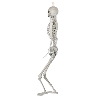 Offre Spéciale : Squelette Humain Debout de 165 cm pour Halloween – Décoration de Festival et Accessoires pour Maison Hantée, Idéal pour Fêtes d'Halloween