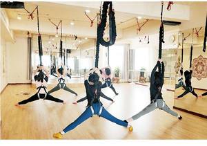 100lbs 150lbs 200lbs 250lbs Set lengkap kabel Bungee harnes tari Terbang Yoga & perlengkapan Lompat Bungee aksesoris Pilates - Product Image 6