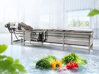 Industriële voedselbelreinigingsmachine Automatische wasapparatuur voor fruit en groenten