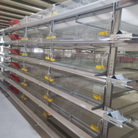 GREAT FARM Batterie de Cages à Cailles Entièrement Automatique Galvanisée, Système d'Élevage Avicole pour Fermes Modernes de Poulets et de Cailles