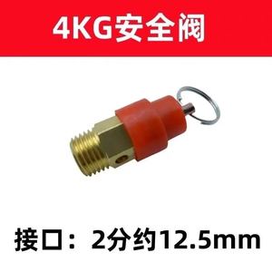 Pressostat avec manomètre 220V monophasé pour pompe à eau, alimentation automatique sans réservoir, coque en bronze moulé - Product Image 5