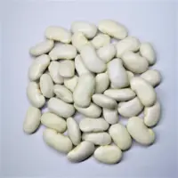 Kidney Beans WKB China 2021 Crop High Quality Large Big White Kidney Beans