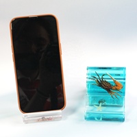 Fleur sèche personnalisée support en résine intégré cadeaux commémoratifs pour support de téléphone portable support universel de support de téléphone tablette PC