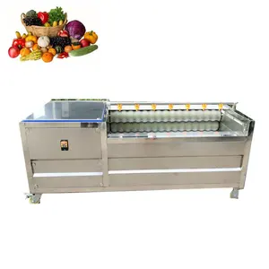 Taro Potato Carrot Washer Vegetable Peeling Machine with High Speed