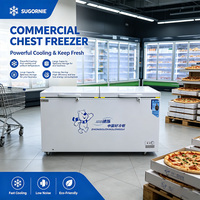 Congélateur horizontal à double porte de 500L+, réfrigérateur commercial pour supermarché avec portes solides verrouillables
