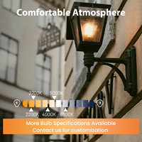 Ampoule LED à filament de verre ST45/ST14, CRI90, dimmable, 4W, culot E26/E27, température de couleur 2200K-6000K, certifiée CE, pour une utilisation multi-scènes