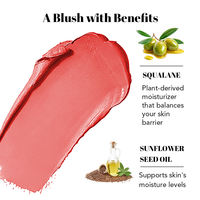 Palette de fard à joues crémeux naturel hydratant et soyeux, pigmenté, végétalien, waterproof, personnalisable avec votre logo – Marque privée