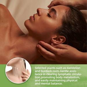 Tisana Detox alle Erbe Grezze per il Drenaggio Linfatico e il Supporto Immunitario - Promuove un Sistema Linfatico Sano - Bustine di Tè - Product Image 2