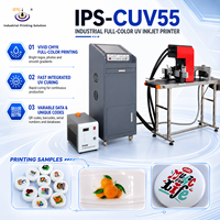 Machine d'impression de gobelets en plastique IPS-CUV55, imprimante jet d'encre UV couleur pleine, données variables, pour sacs tissés en PET et PP