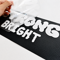 Personnalisation professionnelle, étiquettes résistantes aux UV, lavables, résistantes aux rayures, transfert thermique, étiquettes en vinyle HTV pour vêtements