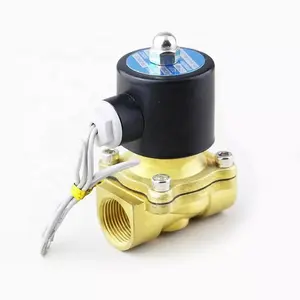 Van Solenoid Loại Thường Đóng 2W160-15 2W200-20 2W250-25 Van Solenoid Bằng Đồng Nước 1/4 Inch