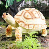 Figura de tortuga de simulación, juguete educativo de animales, tortuga de tierra realista, tortuga marina, estrella, modelo de tortuga, juguete cognitivo para niños