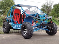 Buggy électrique de course pour adultes puissant de 5000 W, buggy électrique de course, kart électrique
