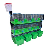 Cages d'élevage/engraissement/accouchements robustes à 12 compartiments pour lapins de races à poils longs avec alimentation/abreuvement automatiques