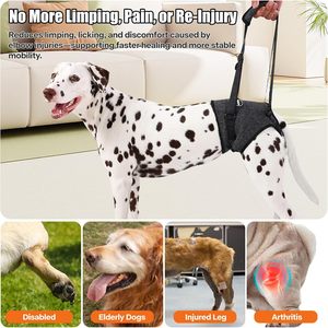 Hiphoppet Lift <span class=keywords><strong>Harness</strong></span> Fornecer Suporte com Atrofia Muscular e Problemas Articulares para Idosos Feridos Artrítico Pet <span class=keywords><strong>Dog</strong></span> Sling - Product Image 4
