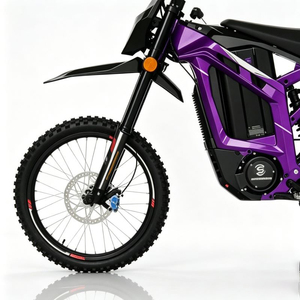 SS8.0adventure <span class=keywords><strong>Moto</strong></span> tout-terrain électrique à haute capacité de charge, Article d'investissement pour les loisirs, Outil de construction communautaire, Vente en gros - Product Image 5