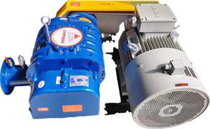 Soplador de raíces resistente a la corrosión recubierto de eflón de alta calidad 0,75 ~ 18.5KW Neumático, transporte y tratamiento de aguas residuales de acuicultura - Product Image 5